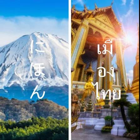 1530841847131264.jpg 1.jpg