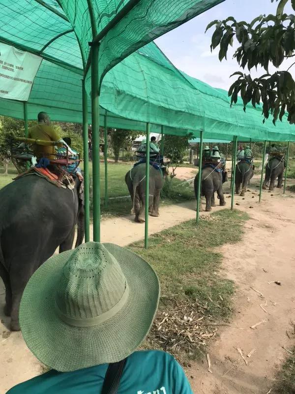 1530841865465001.jpg 2.jpg