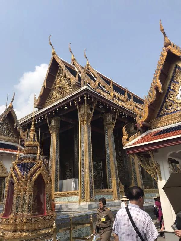 1530841871667681.jpg 3.jpg