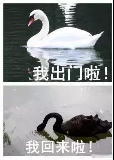 1532065251494306.jpg 1.jpg