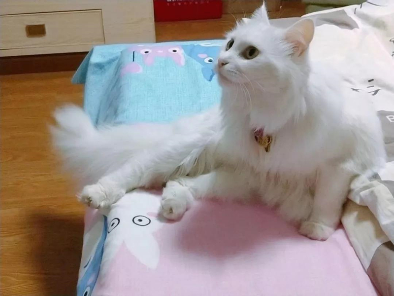 1540538751122885.jpg 7_副本.jpg